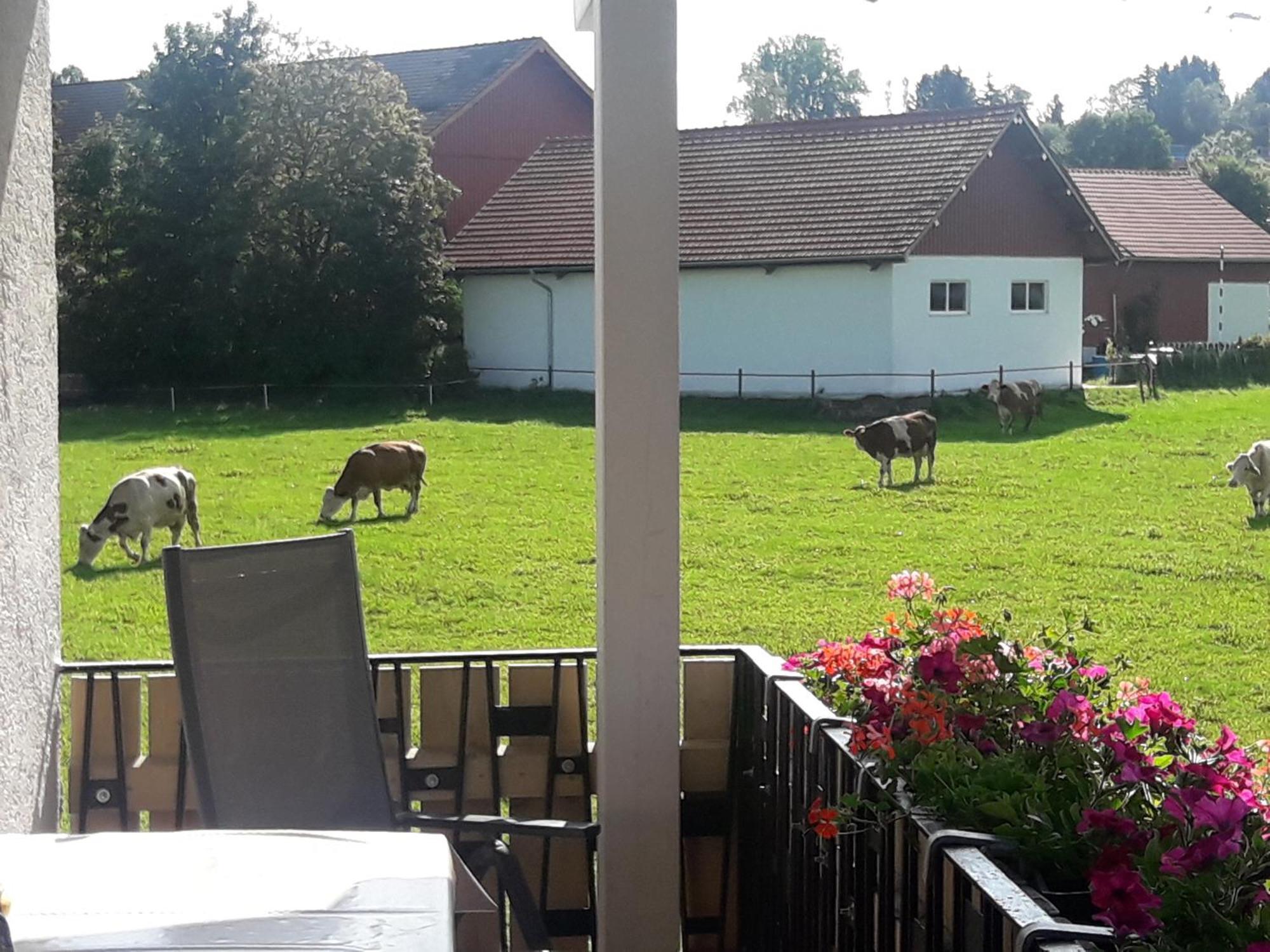 Gaestehaus Reisacher - Mehrbettzimmer Peiting Luaran gambar