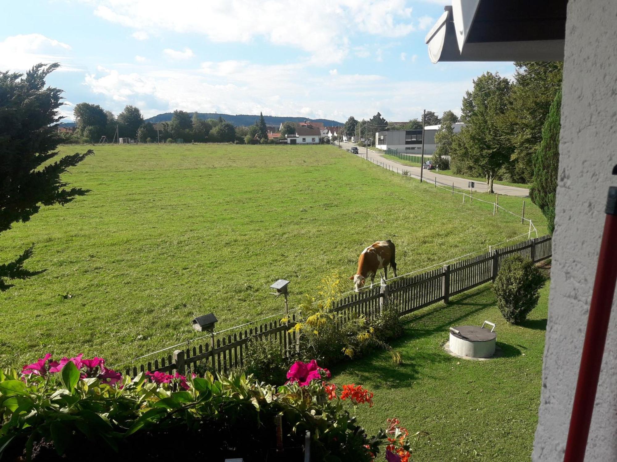 Gaestehaus Reisacher - Mehrbettzimmer Peiting Luaran gambar